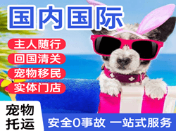 果洛玛沁机场快运国际宠物托运 【国